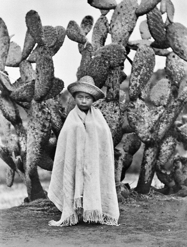 Tina Modotti, Bambino davanti a un cactus, Messico, 1928 ca.